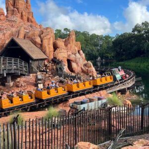 La Mina - Disney World