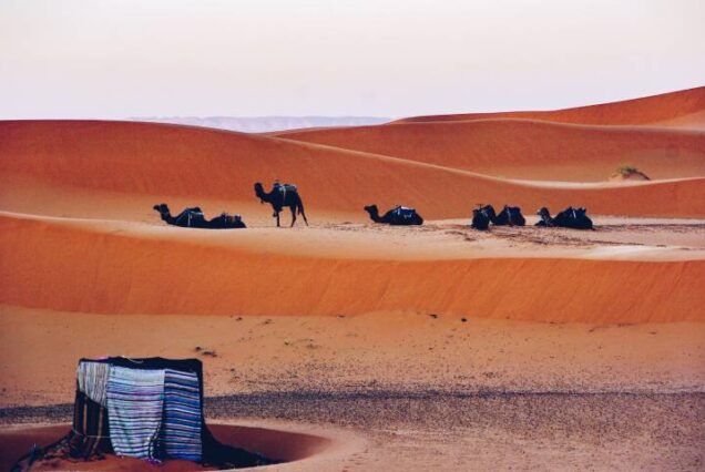 Marruecos desierto